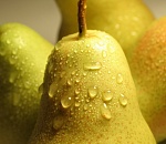 В Астраханской области уничтожат 700 килограммов "санкционки"