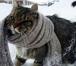 В Астрахани заканчивается "бабье лето": ожидается похолодание