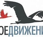 Российское поисковое движение разыскивает родных погибшего астраханского солдата