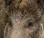 Астраханец избил брата по полусмерти и лег с ним рядом спать