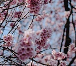 В Астрахань возвращается почти летнее тепло