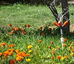 В Астрахани выбрали самые благоустроенные дворы. Фото