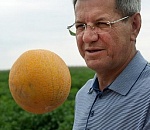 Александр Жилкин – о тактике и стратегии битвы за урожай