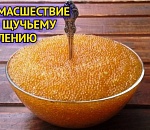 Однопроцентный ажиотаж: продажи астраханской щучьей икры выросли в семь раз
