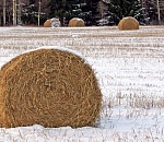 Под Астраханью сгорело сено