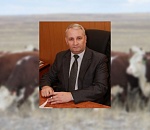 Уволен руководитель службы ветеринарии Астраханской области