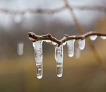 Погода на 8 марта преподнесет астраханцам сюрпризы