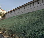 Откосы Астраханского кремля позеленели не от краски