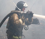 В Астрахани огонь уничтожил более 10 тысяч квадратных метров камыша