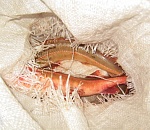 Дорожные полицейские задержали астраханца с красной рыбой в салоне автомобиля