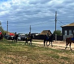 На севере Астраханской области начался казачий конный поход