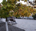 Конец октября будет радовать астраханцев теплом