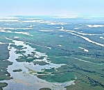 Погоня и стрельба: астраханские полицейские задержали браконьеров на Каспии