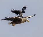 Это надо видеть: астраханский фотограф стал победителем федерального конкурса