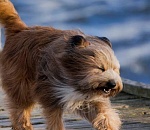 Будьте осторожны: сегодня в Астрахани ожидается сильный ветер