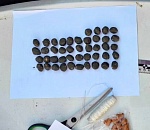 В Астрахани у иностранца изъяли наркотики замаскированные под камни