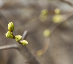 В понедельник в Астрахани потеплеет
