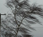 Сегодня в Астрахани порывы ветра до 25 м/c