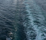 Моряка, погибшего на борту танкера в Турции, похоронили в Астрахани