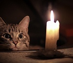 37 улиц Астрахани сегодня останутся без света