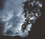 Пасмурная погода в Астраханской области останется еще на сутки