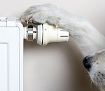 В пятницу 13-го Астрахань останется без тепла