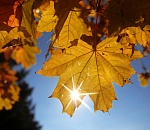 В среду в Астрахани немного потеплеет