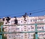 Астраханцы гадают об истории появления обувной инсталляции 