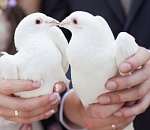 В Астраханской области нынешний апрель стал рекордным весенним месяцем по количеству свадеб