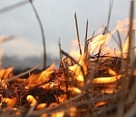 И снова чрезвычайная пожароопасность в Астраханской области