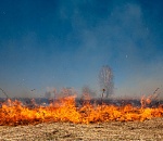 Астраханцев предупредили о чрезвычайной пожароопасности