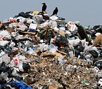 Прокуратура нашла в Астрахани семь несанкционированных свалок