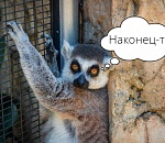 В Астрахань идут холода