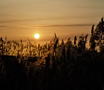 Астраханцы делятся снимками красивого вечернего заката: фото