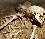 В Астрахани мужчина в своем огороде нашел человеческие останки