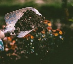 В Астраханской области вынесен приговор археологу-нелегалу