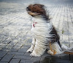 Спасатели предупреждают астраханцев о надвигающемся урагане