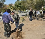 В Астрахани озеленяют сквер Дзержинского