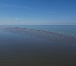 Как назовут сенсацию, открытую на Каспии астраханскими учеными