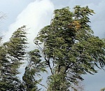 МЧС предупреждает астраханцев о сильном ветре