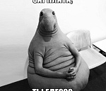 В Астрахани директор "Каспрыбпроект" снят с должности