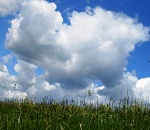 В Астраханской области установилась умеренная жара 