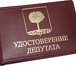 Еще шесть астраханских депутатов лишились мандатов за свою скрытность