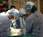 В Астрахани создают «Банк консервации костных тканей»