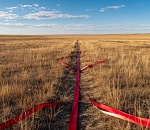 Бешенство обнаружено в степи под Астраханью