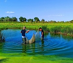 Астраханские школьники спасли больше 4 миллионов мальков