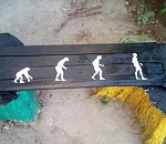 В Астрахани сфотографировали необычную, но развитую лавочку