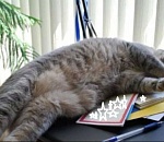 Ближайшие длинные выходные ждут астраханцев в феврале