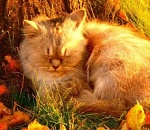 В Астрахань возвращаются теплые солнечные денечки