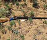 Двое астраханцев застрелили пастуха и украли 400 овец